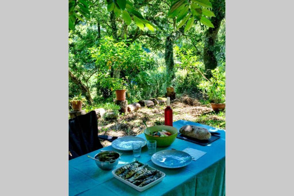 Quinta Biologica, Com Vista, Na Serra De Синтра Екстериор снимка