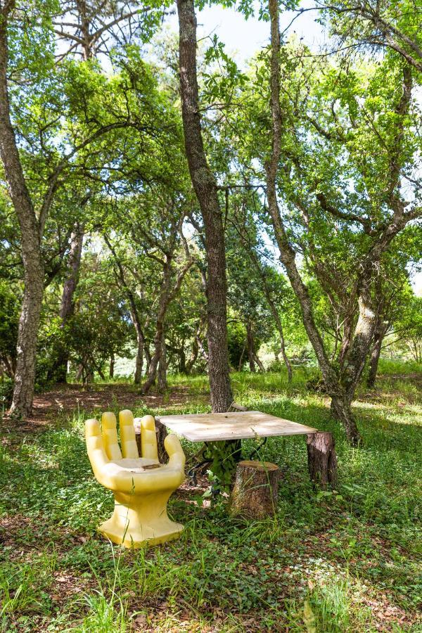 Quinta Biologica, Com Vista, Na Serra De Синтра Екстериор снимка