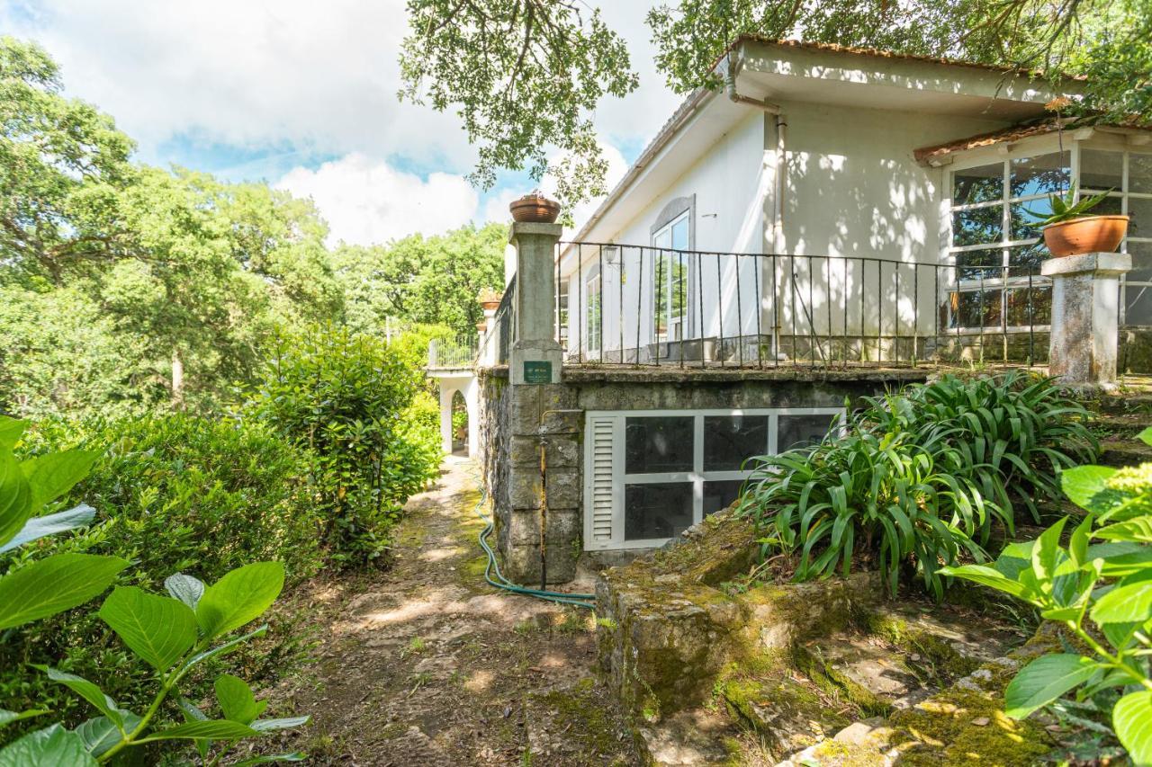 Quinta Biologica, Com Vista, Na Serra De Синтра Екстериор снимка