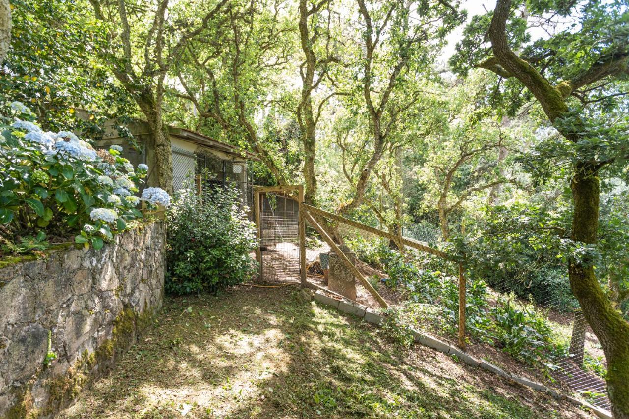 Quinta Biologica, Com Vista, Na Serra De Синтра Екстериор снимка