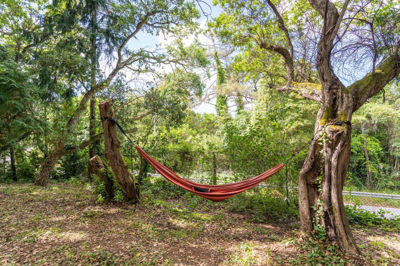 Quinta Biologica, Com Vista, Na Serra De Синтра Екстериор снимка