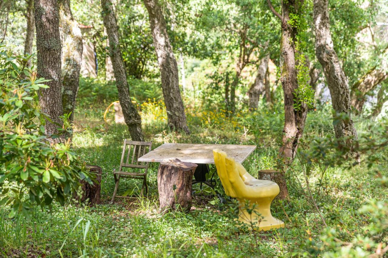 Quinta Biologica, Com Vista, Na Serra De Синтра Екстериор снимка
