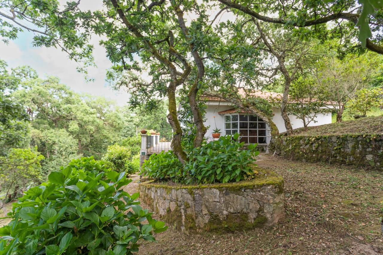 Quinta Biologica, Com Vista, Na Serra De Синтра Екстериор снимка