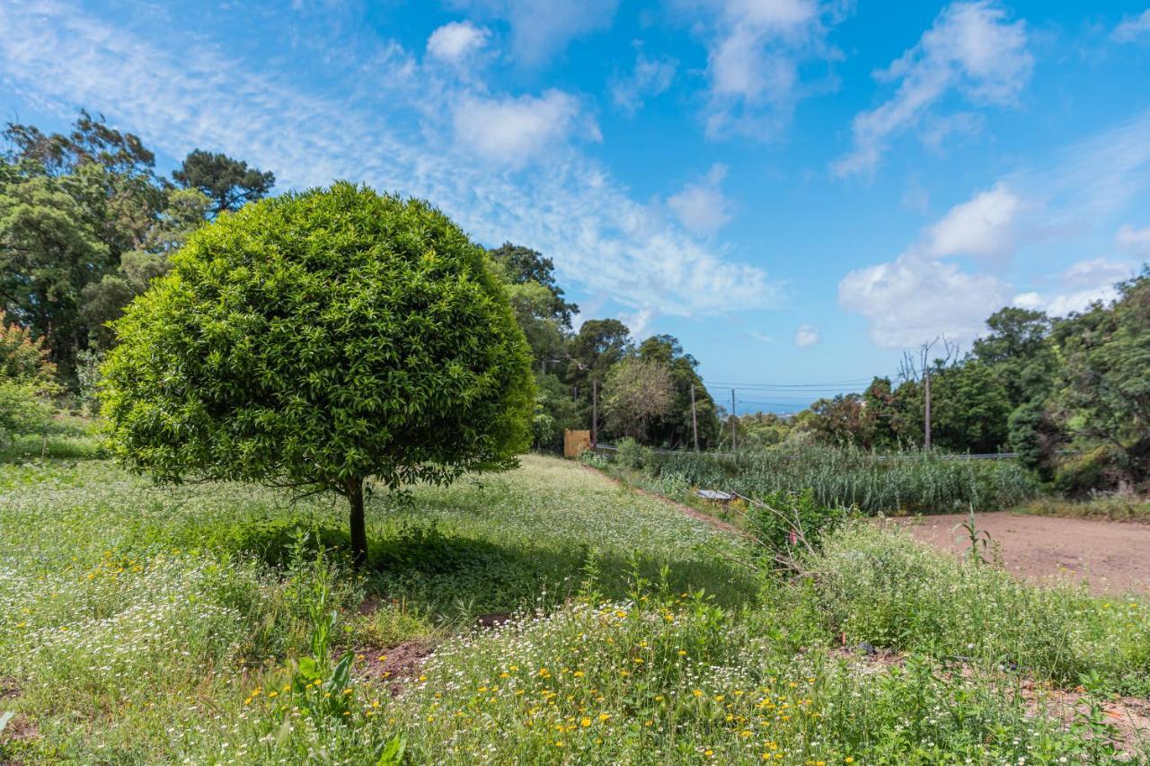 Quinta Biologica, Com Vista, Na Serra De Синтра Екстериор снимка