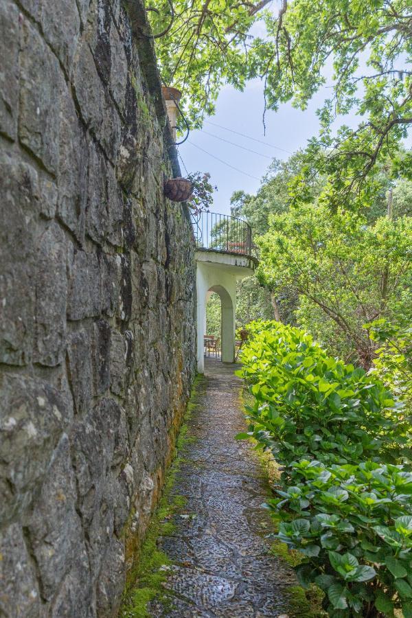Quinta Biologica, Com Vista, Na Serra De Синтра Екстериор снимка